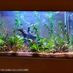 דירה Atlantis *