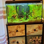 דירה Atlantis טריאסטה