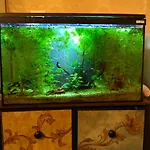 Atlantis דירה *