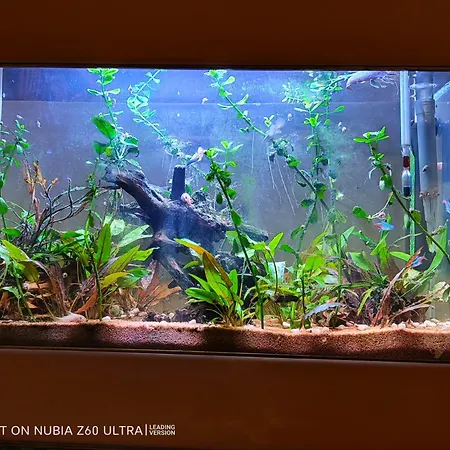 Appartamento Atlantis *