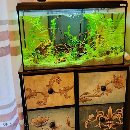 Appartamento Atlantis Trieste