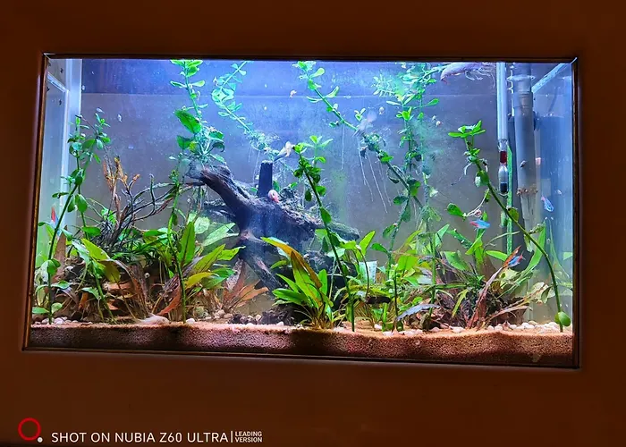 Апартаменты Atlantis *