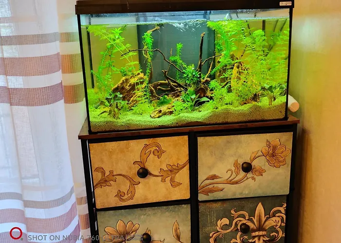 Апартаменты Atlantis Триест