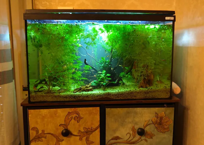 Atlantis Апартаменты *